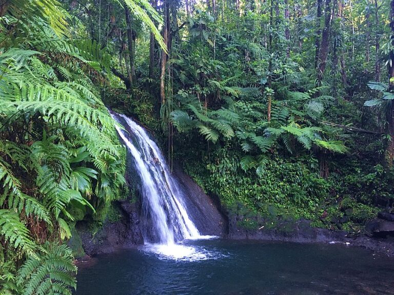 Guadeloupe, Basse-Terre, Highlights, La cascade aux Ecrevisses