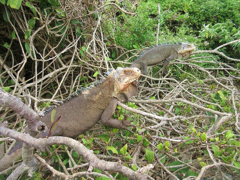 Guadeloupe, Highlights, Petite-Terre