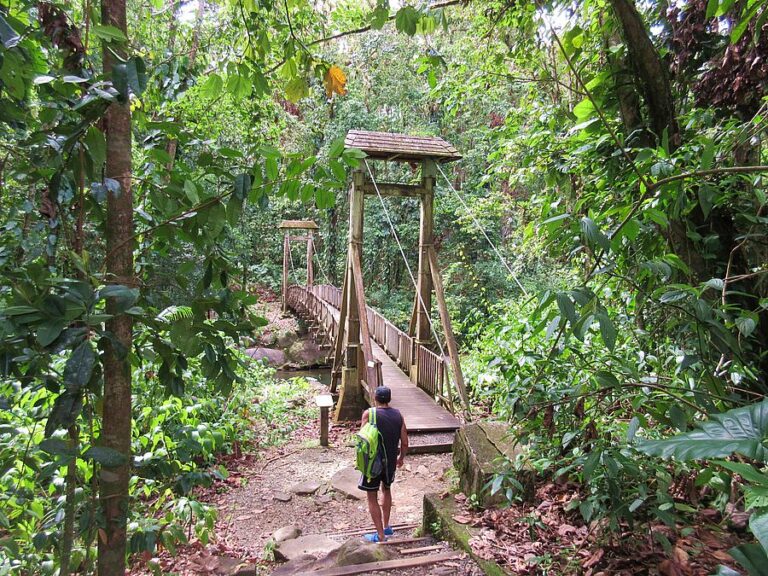 Guadeloupe, Basse-Terre, Highlights, Route de la Traversée