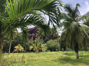 Seychellen Travelguide für Familien und Flashpacker