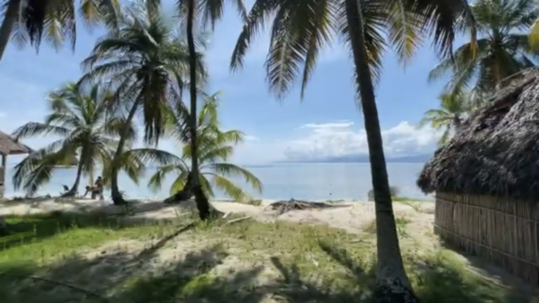 San Blas Islands Tours from Panama City: Tropical island scenery in Guna Yala, Panama